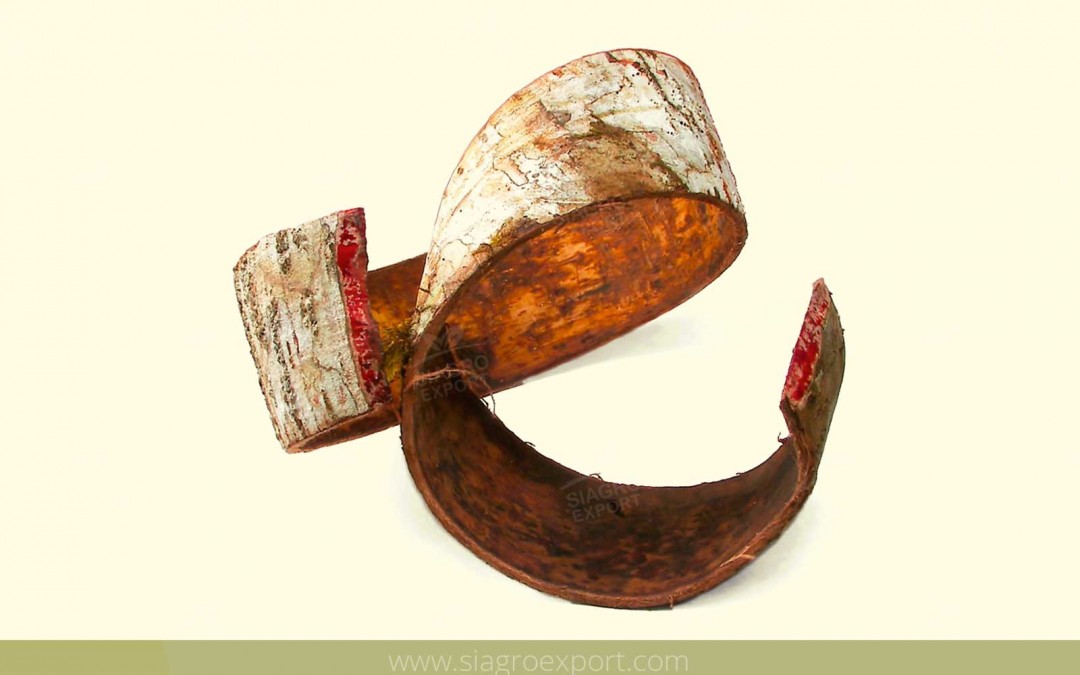 Sangre de Grado (Croton lechleri)